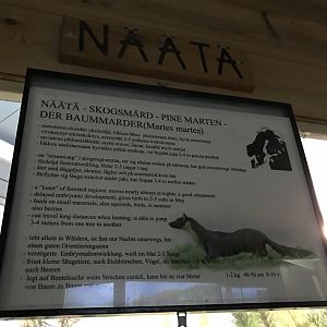 Ranua Zoo - 25th December 2016