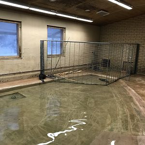 Ranua Zoo - 25th December 2016