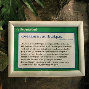 Sign Oriental fire-bellied toad