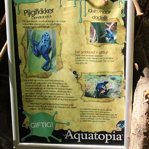 Info-sign Dart frog
