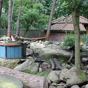 Enclosure Asian small-clawed otter