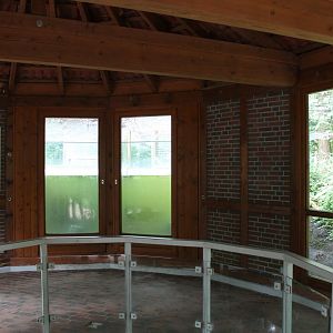 Under-water Otter-viewing