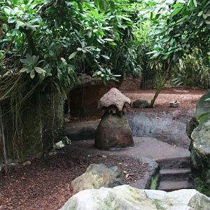 Aardvark enclosure