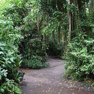 walkways Burgers Bush