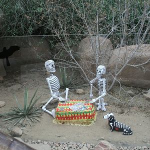 Burgers Desert. Dia de Muertos display
