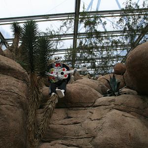 Burgers Desert. Dia de Muertos display