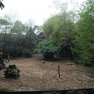 Warthog enclosure