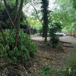 Pygmy hippo enclosure