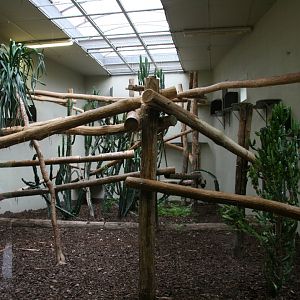 first lemur indoor eclosure