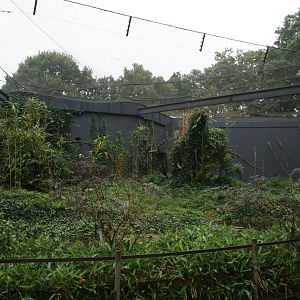 lemur outdoor enclosure