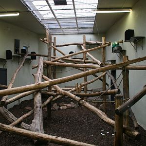 Seccond lemur indoor enclosure