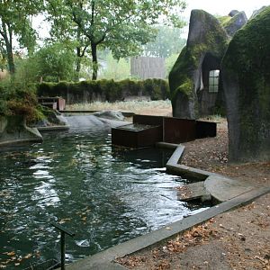 Ringed seal enclosure