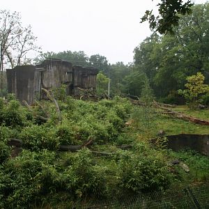 Sumatran tiger enclosure