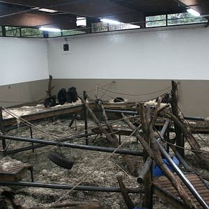 Chimpansee indoor enclosure
