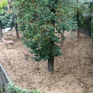 sepparation pen in the safari section