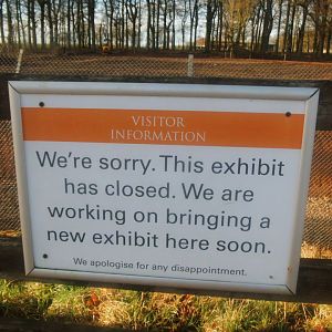 Construction site on the new African Hunting Dogs