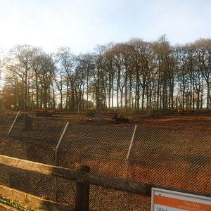 Construction site on the new African Hunting Dogs