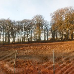 Construction site on the new African Hunting Dogs