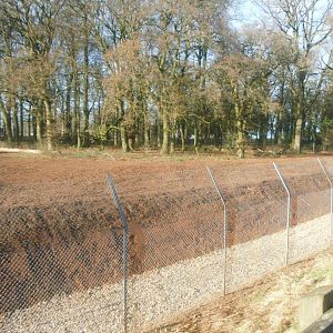 Construction site on the new African Hunting Dogs