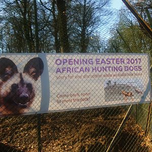 Construction site on the new African Hunting Dogs