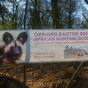 Construction site on the new African Hunting Dogs