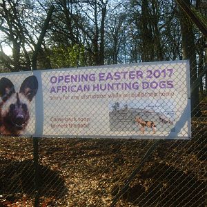 Construction site on the new African Hunting Dogs