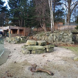 Where the sea lions once swam....