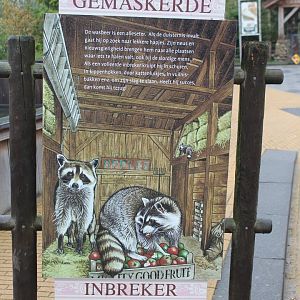 Raccoon-info-sign