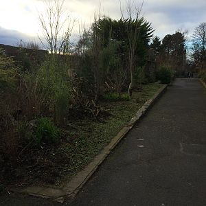 Where the birds once flew.....