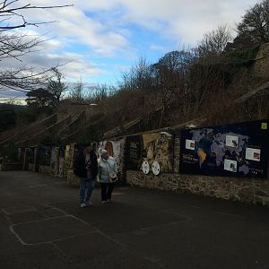 Where the cats once roared.....