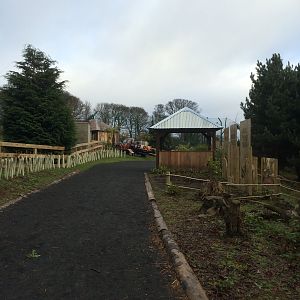 Entrance to tiger tracks