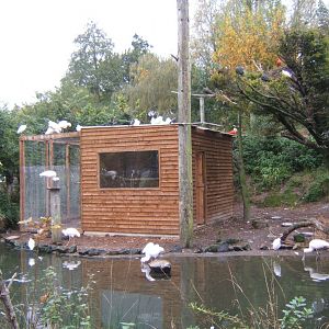 View of water birds aviary