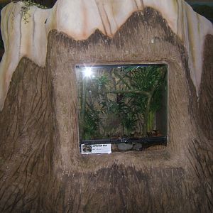 View of Jamaican Boa exhibit in Monkey House