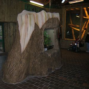 View of herp exhibit in Monkey House