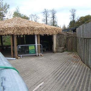 Work on the Cheetah viewing