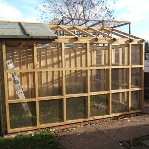 Yet another new aviary going up