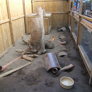 View of Meerkat exhibit