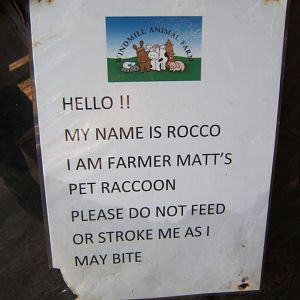 Windmill Animal Farm