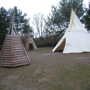 View of Northern swamps and forest exhibit