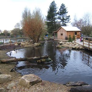 View of Northern swamps and forest exhibit