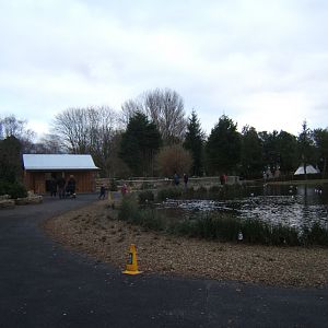 View of Northern swamps and forest exhibit