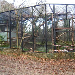 Future Binturong exhibit