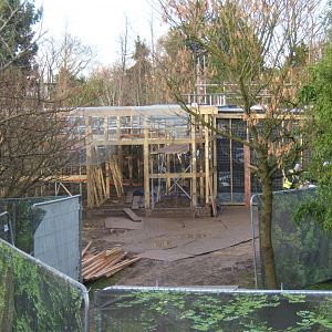 View of work on Asian Song bird aviarys