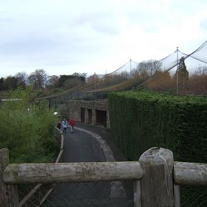 View towards Dragons in Danger form raised Sun Bear viewing platform
