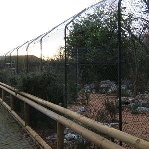 View of work on old Cheetah enclosure