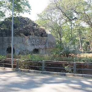 Sloth Bear enclosure, Mumbai Zoo