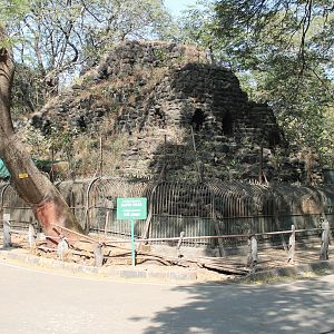 Sloth Bear enclosure, Mumbai Zoo