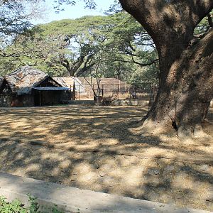 ungulate paddock, Mumbai Zoo