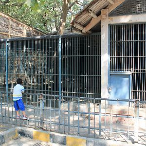 emu cage, Mumbai Zoo