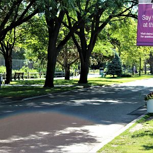 Detroit Zoo - June, 2016 - Camels, Przewalski’s horses, deer, elk enclosure on the left